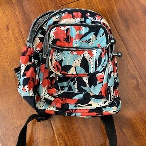 Color backpack